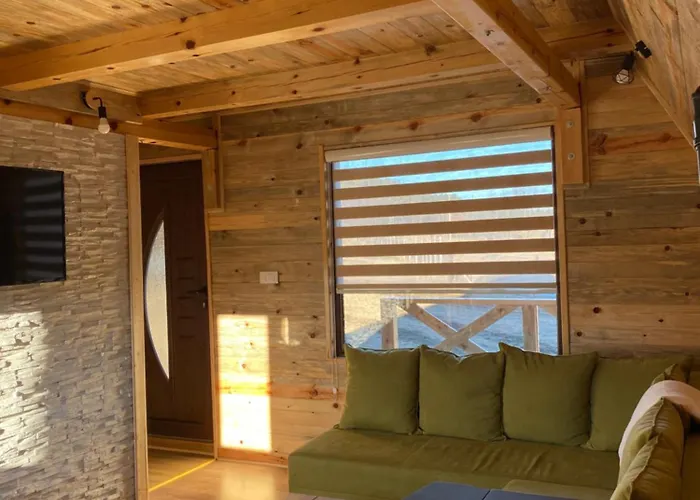 Brvnare Djokic Apartment