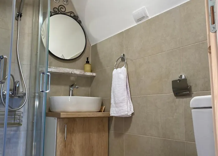 Brvnare Djokic Apartment *