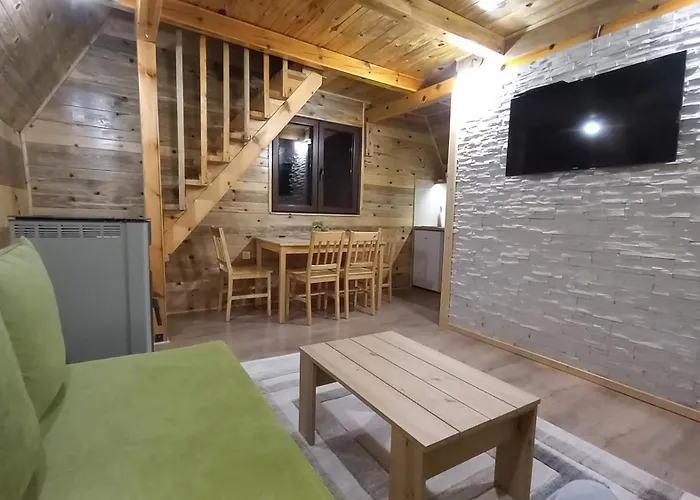 Brvnare Djokic Apartment