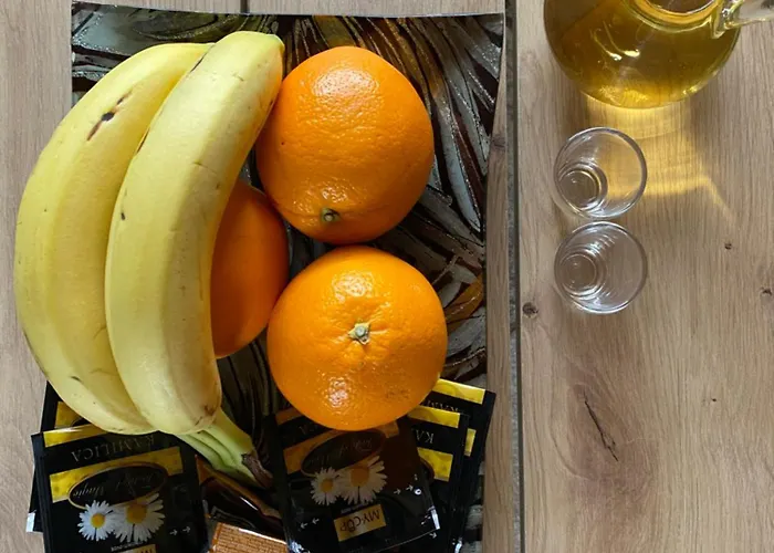 Brvnare Djokic Ðokici