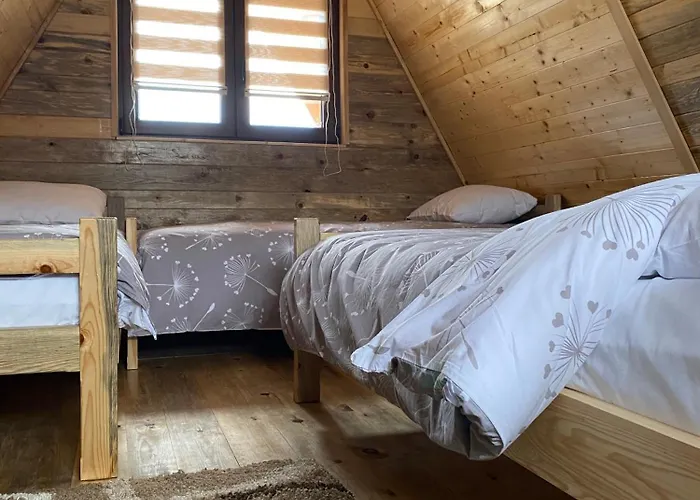 Brvnare Djokic Apartment