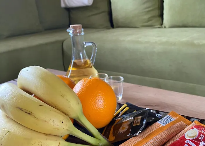 Apartment Brvnare Djokic